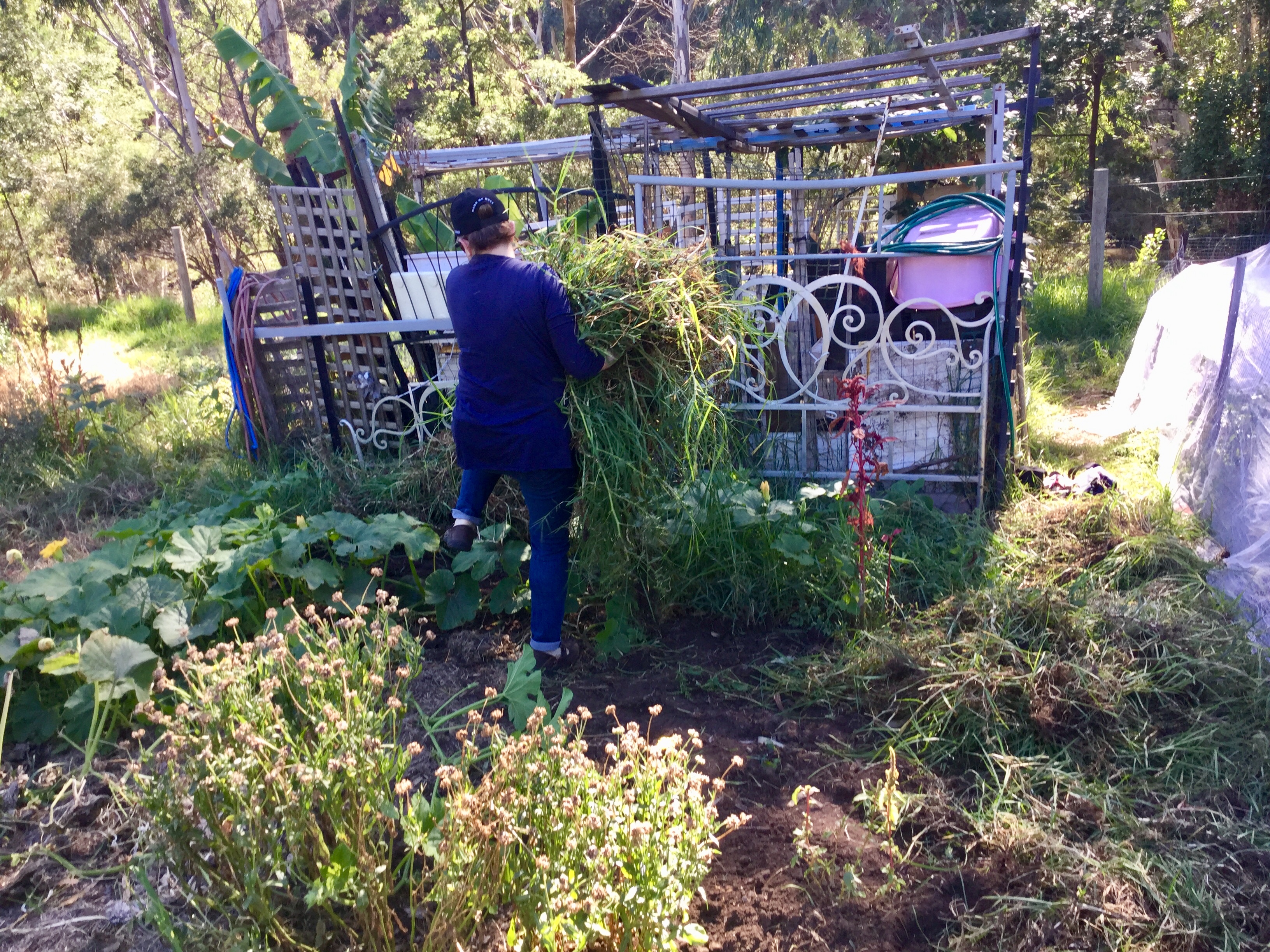 IMG_6Great effort KC